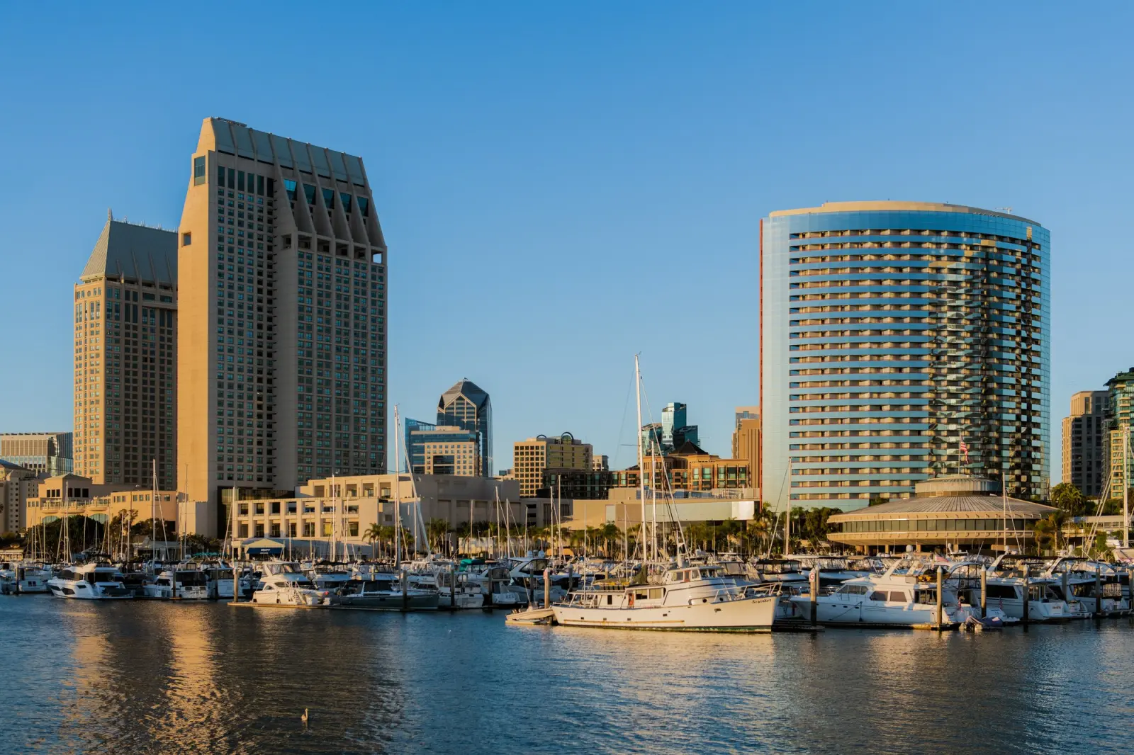 Downtown San Diego over the marina, from the Spearhead Stock library