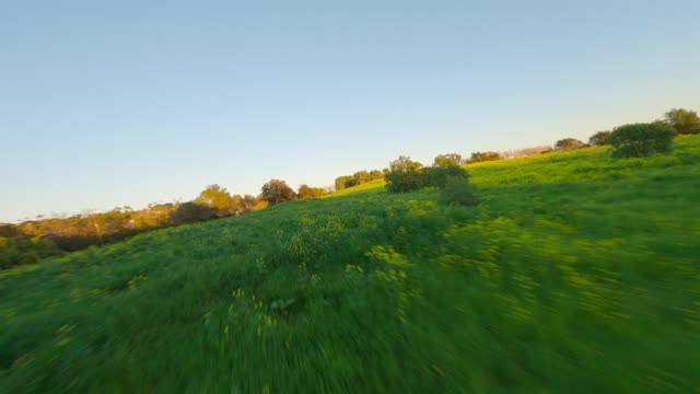 Flying over the Fields of Rancho Santa Fe in the Covenant | FPV Drone Video – 5