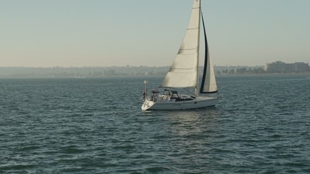 Sailboat on the water on the San Diego Bay Downtown San Diego Waterfront | Video – 1