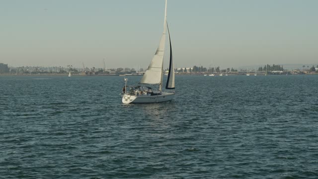 Sailboat on the water on the San Diego Bay Downtown San Diego Waterfront | Video