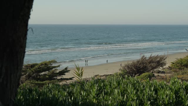 Powerhouse Park and Beach in Del Mar | Video – 8
