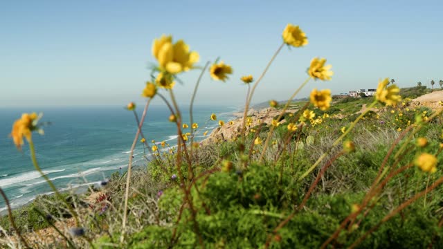 Looking over the cliffs and trails at Torrey Pines and Black’s Beach on a beautiful Day in La Jolla | Video – 4