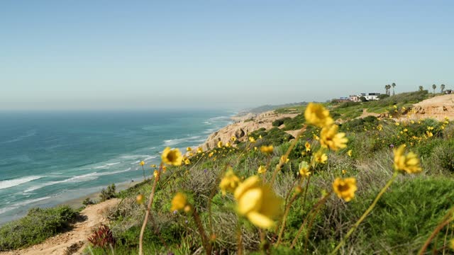 Looking over the cliffs and trails at Torrey Pines and Black’s Beach on a beautiful Day in La Jolla | Video – 9