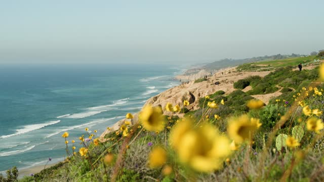 Looking over the cliffs and trails at Torrey Pines and Black’s Beach on a beautiful Day in La Jolla | Video – 7