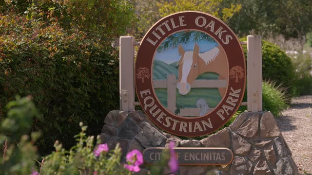 Horses in the equestrian facilities of Olivenhain in Encinitas | Drone Video – 5